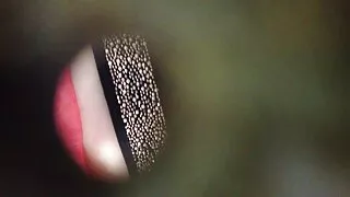 Amžiaus šviesūs gėrė šampaną ir pakliuvom dude