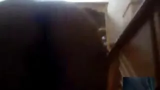 Redhead žvėris pakliuvom kaimynas ant paplūdimio kėdės